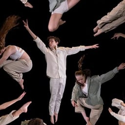 ARS SALTANDI Moving Arts