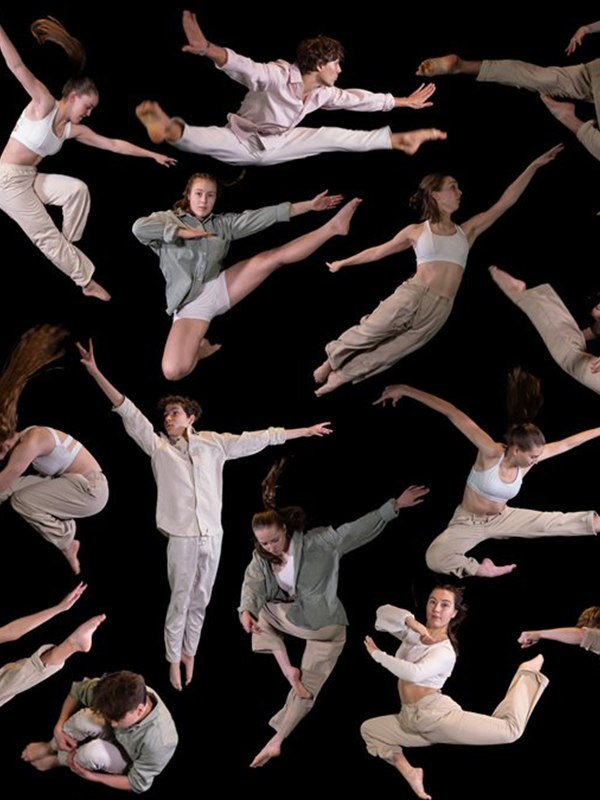 ARS SALTANDI Moving Arts